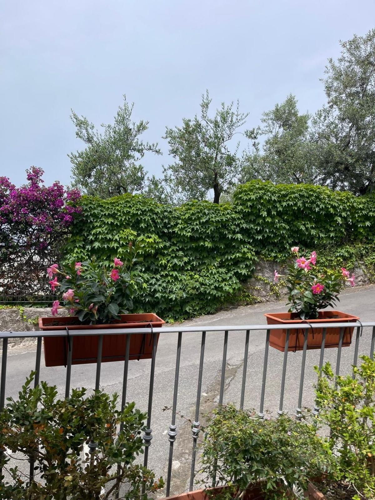 Villa Valentina Suite Massa Lubrense Ngoại thất bức ảnh